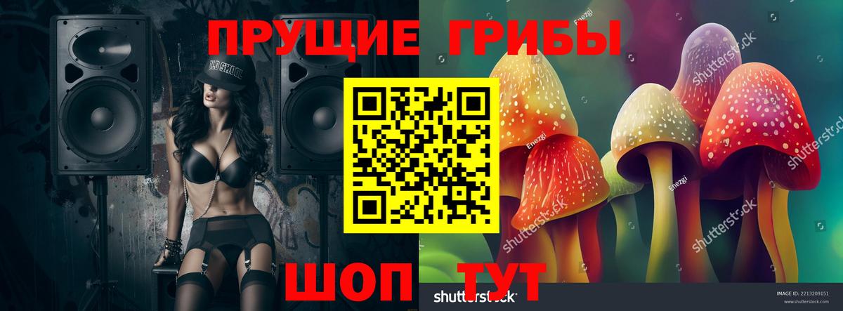 Галлюциногенные грибы MAGIC MUSHROOMS Красноярск